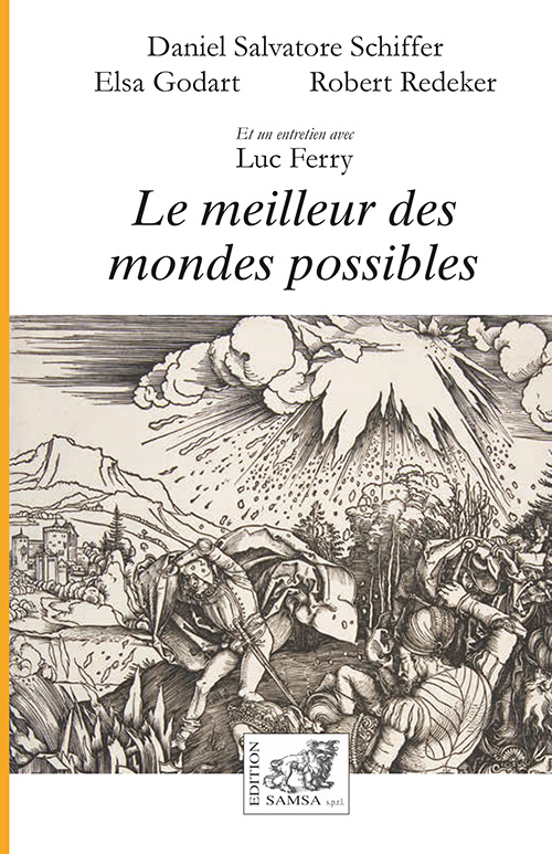 Le meilleur des mondes possibles - essai